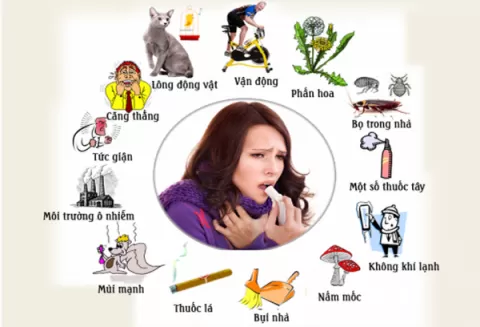 Gói xét nghiệm 102 loại Dị ứng và 10 loại Giun sán [TOÀN DIỆN]